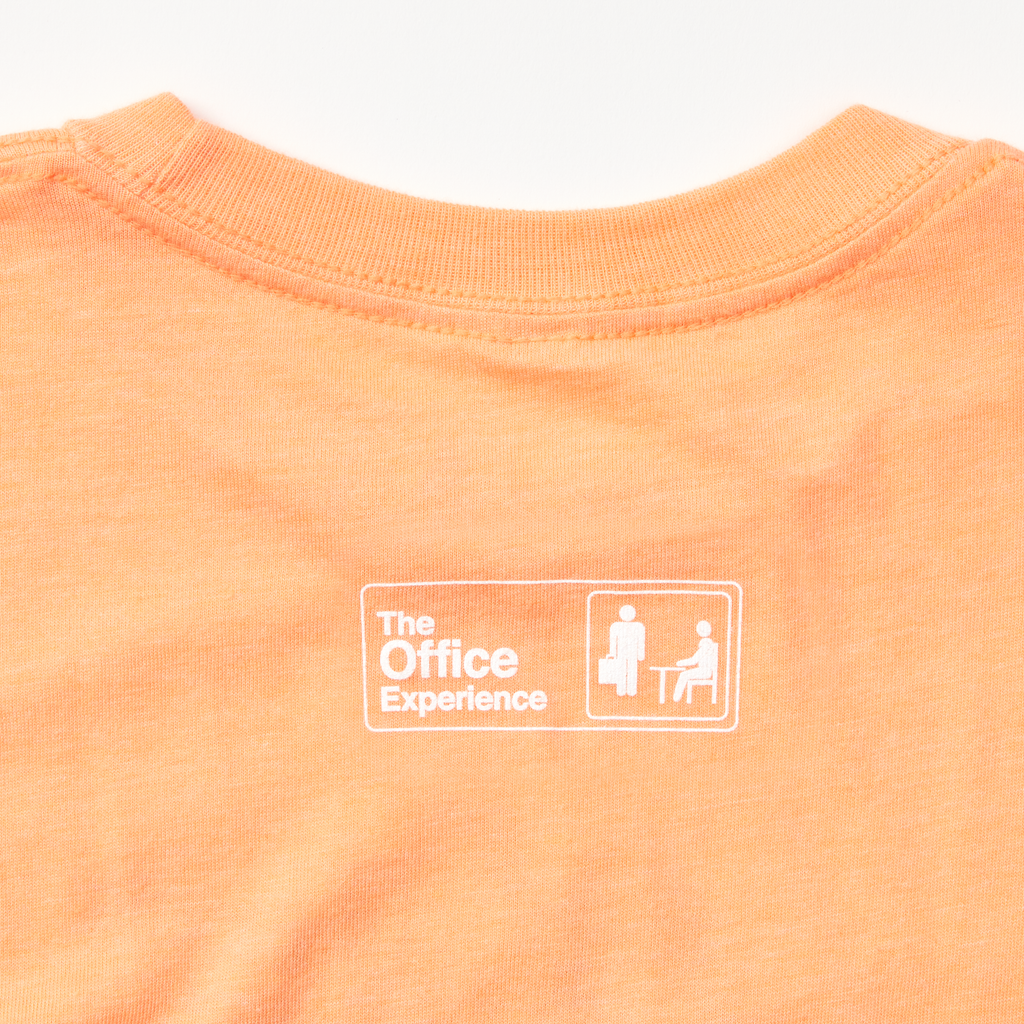 The Office Experience Princess Unicorn Youth Shirt Cantaloup